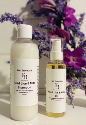 Head lice mite - head,